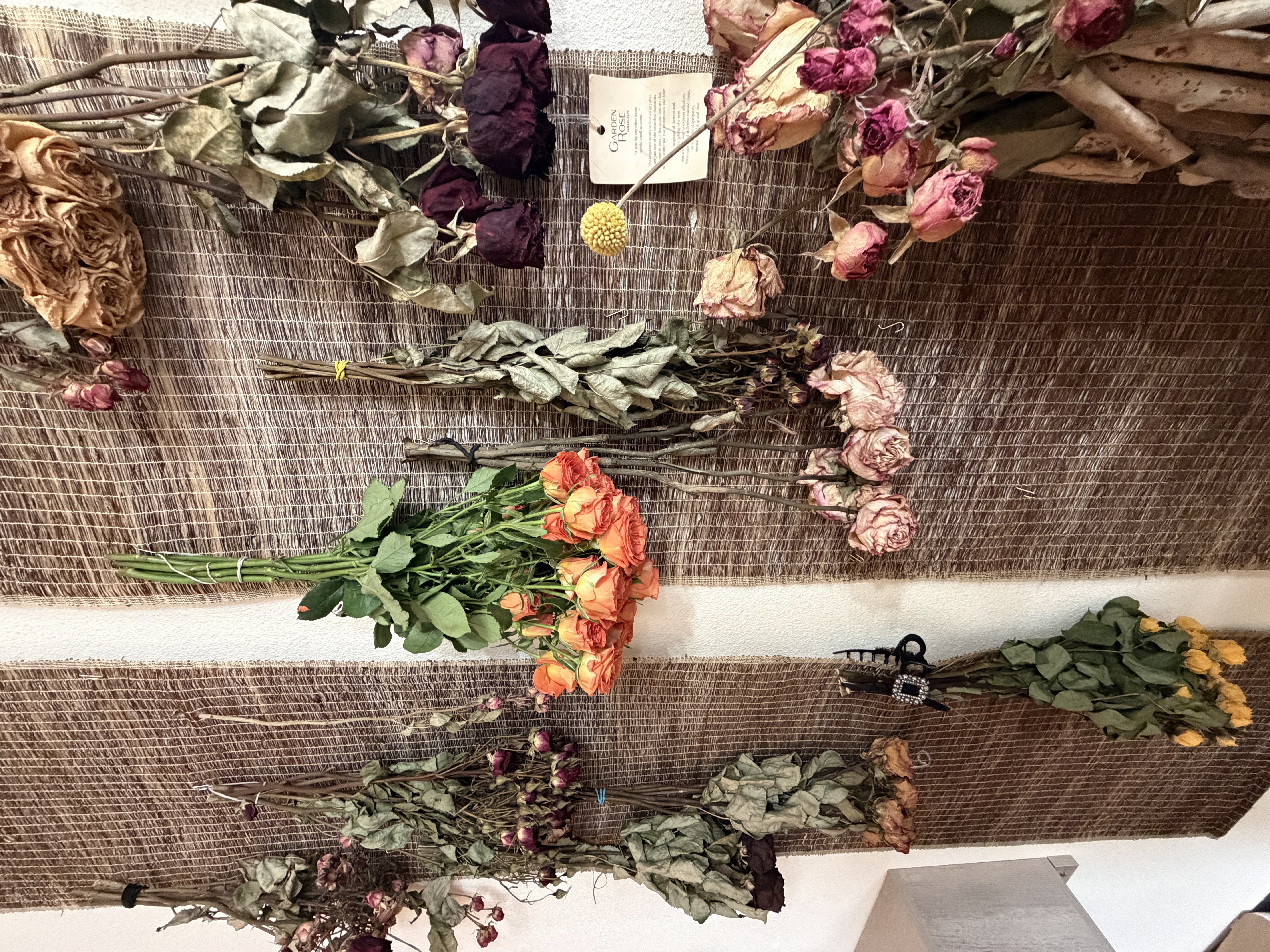 Yu Hair 干花疗愈墙